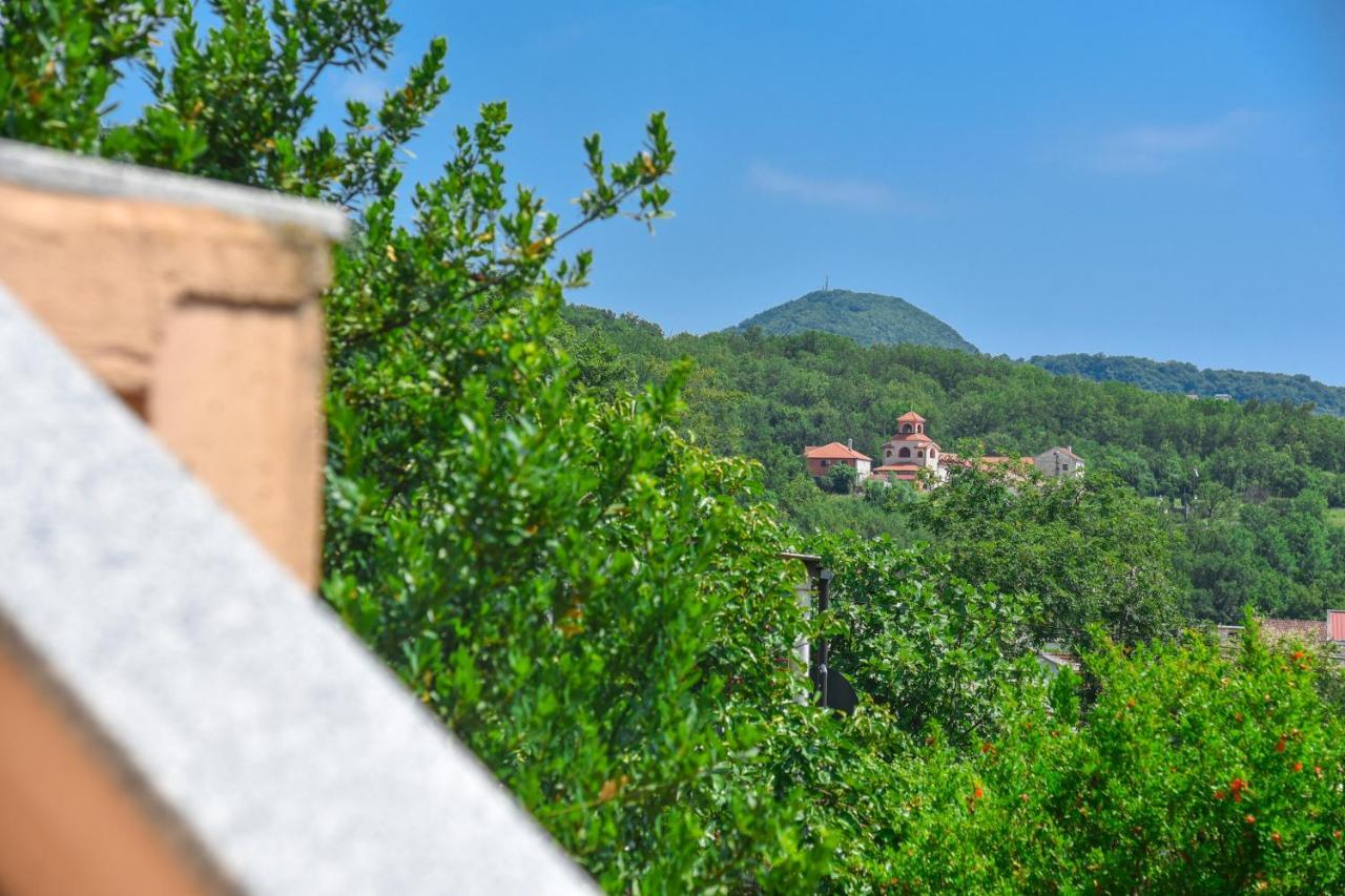 Bjelanovic Budva
